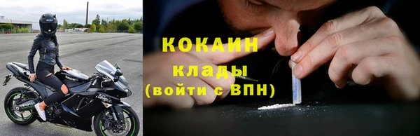 твердый Мегион