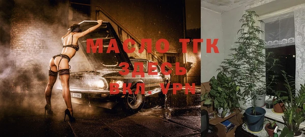твердый Мегион