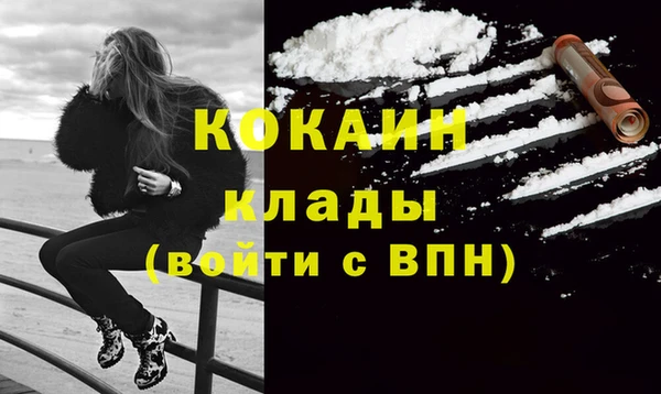 твердый Мегион