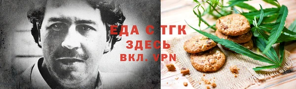 тгк Медногорск