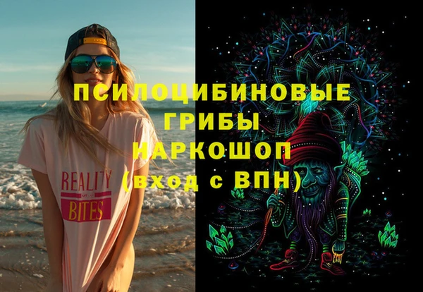 тгк Медногорск